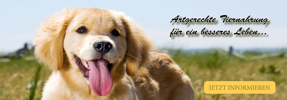 Banner-Vertriebspartner3