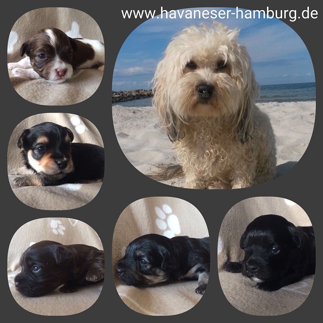 Emmi und Kinder von Snickers