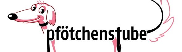 Havaneser Welpen  Gewhnung in der Pftchenstube